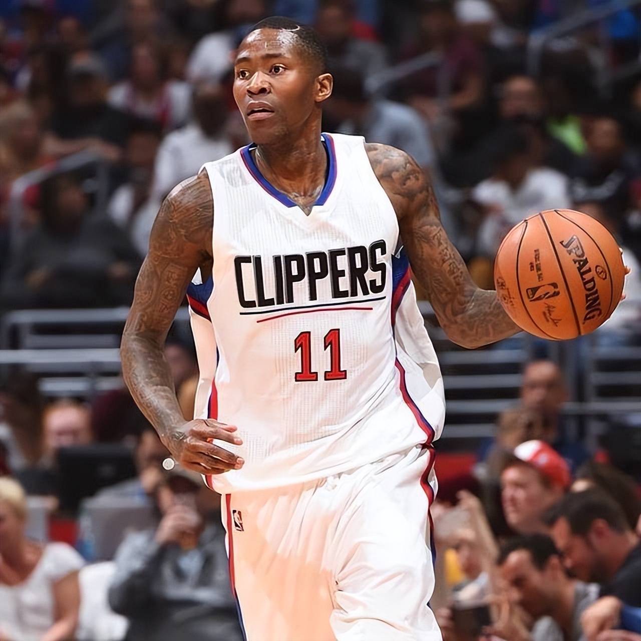 不仅提升了 不仅提升了